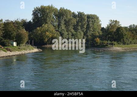 Rive orientale du Rhin vue de la rivière par un jour d'automne froid et ensoleillé, Maxau, Karlsruhe, Bade-Wurtemberg, Allemagne Banque D'Images