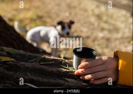 Une femme caucasienne verse du thé chaud à partir de thermos tout en marchant avec son chien le jour chaud de l'automne. Banque D'Images