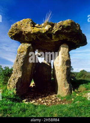 Les dalles de calcaire exposées de la chambre de sépulture néolithique de St Lythans, Vale de Glamourgan, pays de Galles: Regarder W à la chambre ouverte avec un énorme capstone. Banque D'Images