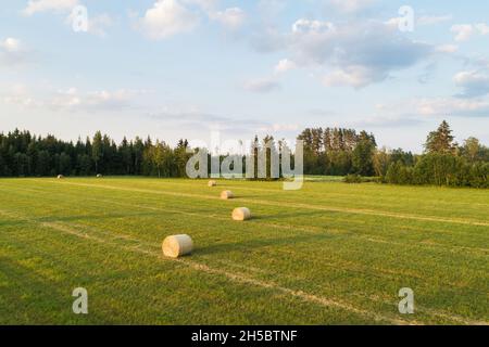 Une antenne d'une prairie avec des rouleaux de foin frais pendant une soirée d'été dans la campagne estonienne. Banque D'Images