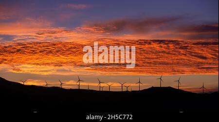 Silhouette d'éoliennes au lever du soleil, Tarifa, Cadix, Andalousie, Espagne Banque D'Images