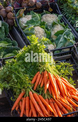 sélection de légumes frais, y compris les carottes, le chou-fleur et la betterave dans des caisses exposées dans un marché agricole dans le nord de norfolk au royaume-uni. Banque D'Images