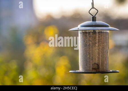 observation des oiseaux sur un balkony Banque D'Images