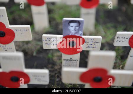 Londres, Royaume-Uni.08 novembre 2021.Champ du souvenir de l'abbaye de Westminster.Les Hommages plantés à l'abbaye de Westminster portent chacun un message personnel à quelqu'un qui a perdu sa vie au service du pays.(Photo de Thomas Krych/SOPA Images/Sipa USA) crédit: SIPA USA/Alay Live News Banque D'Images