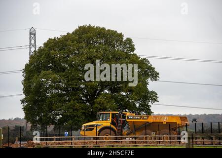 Great Missenden, Royaume-Uni.8 novembre 2021.Un chêne solitaire très chéri qui a été occupé par des protecteurs d'arbre HS2 plus tôt cette année est maintenant en danger d'abattage par HS2 à leur composé de Leather Lane.L'arbre avait été encorné par HS2 et devait rester, mais HS2 aurait maintenant l'intention de l'abattre pour que bizarrement ils puissent le remplacer par une zone d'aménagement paysager et des arbres de jeunes arbres.HS2 ont déjà abattu un certain nombre d'arbres dans Leather Lane et d'autres doivent être abattus par eux.Crecdit: Maureen McLean/Alay Live News Banque D'Images