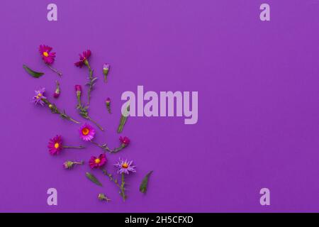 Composition florale d'automne fond violet.Pose plate de petites fleurs d'aster.Carte postale de la nature créative.La mise en page pour la conception des salutations, le co Banque D'Images
