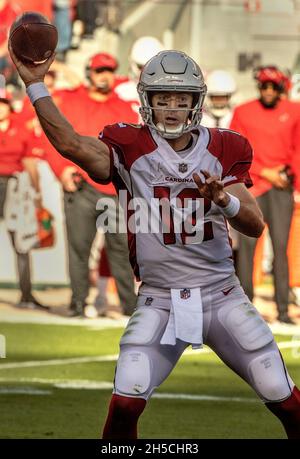 Santa Clara, Californie, États-Unis.7 novembre 2021.Le quarterback des Arizona Cardinals Colt McCoy (12) passe le bal le dimanche 07 novembre 2021 au stade Levis de Santa Clara, en Californie.Les cardinaux ont battu les 49ers 31-17.(Credit image: © Al Golub/ZUMA Press Wire) Banque D'Images