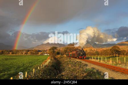 Le poney gallois No5 se dirige sous le Rainbow NR Pont Croesor sur le chemin de fer des Highlands gallois - 3.10.21 Banque D'Images