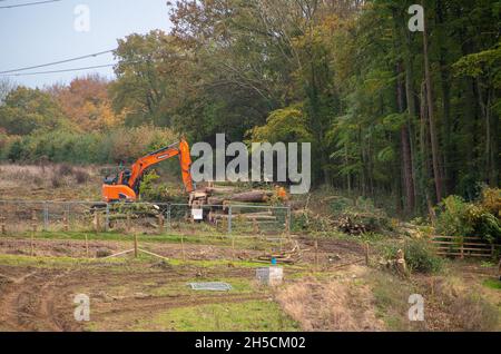 Aylesbury Vale, Royaume-Uni.8 novembre 2021.Aujourd'hui, HS2 a enlevé des troncs d'arbres d'un autre bois qu'ils ont abattu pour la construction du train à grande vitesse.Ce n'était que quelques jours après que le Premier ministre Boris Johnson a annoncé à la Conférence COP26 sur le climat à Glasgow "d'arrêter et d'inverser la déforestation et la dégradation des terres d'ici 2030.Pas seulement l'arrêt, mais l'inverse".Il a également décrit les arbres comme étant les 'poumons de notre planète', cependant, pendant ce temps, HS2 continuent à tomber ou à mettre en danger 108 anciennes terres boisées pour le chemin de fer très critiqué HS2.Crédit : Maureen McLean/Alay Live News Banque D'Images