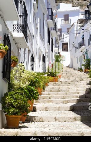 Magnifique village de Frigiliana, sud de l'Espagne ruelle pavée escarpée au coeur de la vieille ville charmante scène fleurie vue verticale Banque D'Images