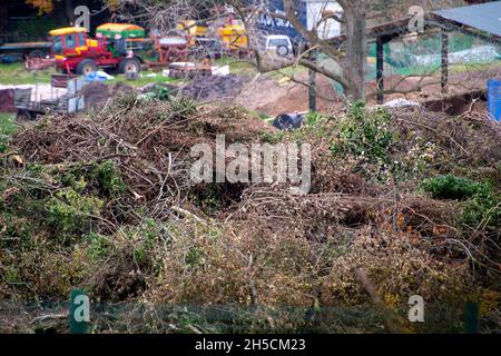 Aylesbury Vale, Royaume-Uni.8 novembre 2021.Des haies arraché par HS2 s'empilent en hauteur à Durham Farm, à côté de Jones Hill Wood.Les habitants de la région sont dévastés par l'impact que HS2 a sur la campagne locale et les habitats fauniques.Crédit : Maureen McLean/Alay Live News Banque D'Images