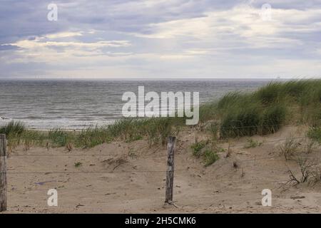 Holland Strand Nordsee Zandvoort Bilder Fotos Banque D'Images