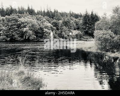 Photo en niveaux de gris d'un lac entouré de plantes dans les montagnes de l'Écosse Banque D'Images