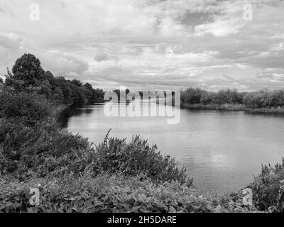 Photo en niveaux de gris d'un lac entouré de plantes dans les montagnes de l'Écosse Banque D'Images