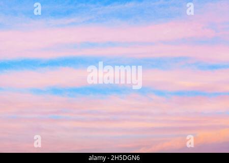Rose nuages de Premirrus ciel bleu ciel fond gros plan, rouge à l'aube cirrostratus nuage texture, violet coucher du soleil, matin lever du soleil nuages, ciel nuageux rayé Banque D'Images