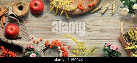 Décorations de Thanksgiving. Citrouilles Hokkaido orange, baies de rowan, pommes, cannelle et cadre faits à partir de décorations d'automne. Flat lay, vue de dessus avec copie Banque D'Images