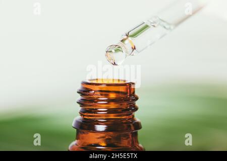 Huile essentielle pure organique dans la pipette sur une bouteille de verre ambré sur fond de feuilles vertes, macro Banque D'Images