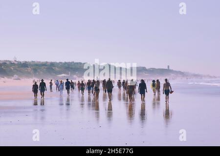 Marcheurs matinaux sur la plage de la Barrosa, Sancti Petri, Chiclana de la Frontera, Cadix, Andalousie, Espagne. Banque D'Images