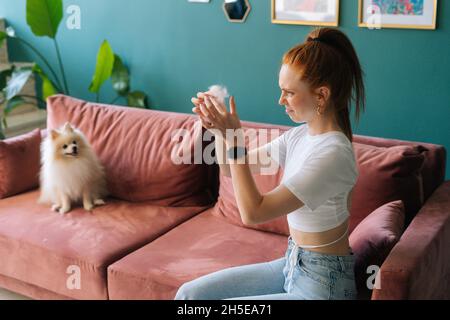 Jeune femme mécontenté avec le regard de dégoût sur le visage regardant sur la tuft de cheveux d'animal de compagnie tenant dans la main.Joli petit chien blanc Spitz assis sur un canapé. Banque D'Images