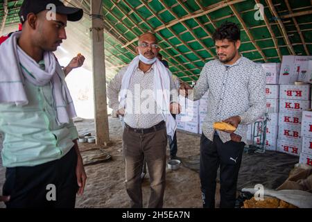 Roorkee, uttarakhand, Inde - novembre 7 2021: Homme vendant des jaggery frais aux visiteurs à l'usine, site de production de jaggery de sucre de canne non centrifuge. Banque D'Images