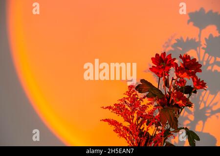 Lampe de coucher de soleil électrique pour un éclairage jaune chaleureux et atmosphérique à la maison. Banque D'Images