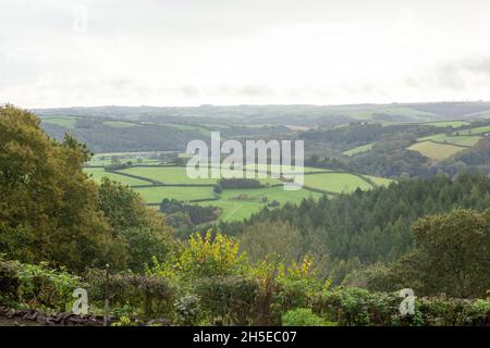 Vue sur les terres agricoles du village de High Bickington, Devon, Angleterre, Royaume-Uni. Banque D'Images