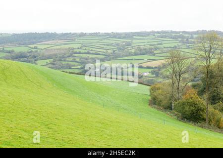 Vue sur les terres agricoles du village de High Bickington, Devon, Angleterre, Royaume-Uni. Banque D'Images