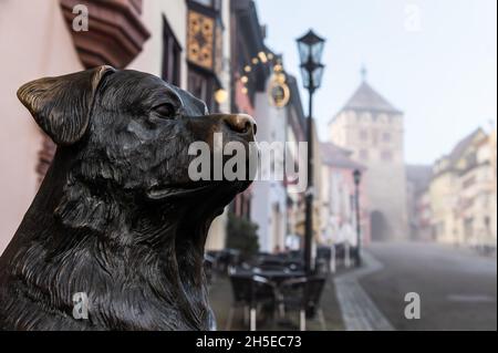 Rottweil, Allemagne.09ème novembre 2021.Une statue d'un rottweiler se trouve dans la zone piétonne.Dans le district de Rottweil, l'incidence sur 7 jours a augmenté significativement au-dessus de 400.Crédit : Silas Stein/dpa/Alay Live News Banque D'Images