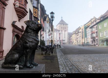 Rottweil, Allemagne.09ème novembre 2021.Une statue d'un rottweiler se trouve dans la zone piétonne.Dans le district de Rottweil, l'incidence sur 7 jours a augmenté significativement au-dessus de 400.Crédit : Silas Stein/dpa/Alay Live News Banque D'Images