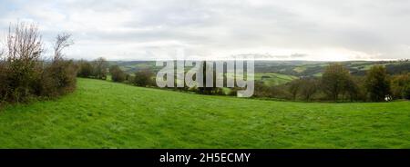 Vue sur les terres agricoles du village de High Bickington, Devon, Angleterre, Royaume-Uni. Banque D'Images