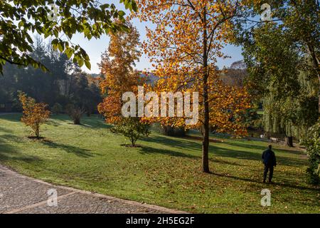 Arboretum Atatürk près de la forêt de Belgrat dans le quartier de Sarıyer à Istanbul, Turquie Banque D'Images