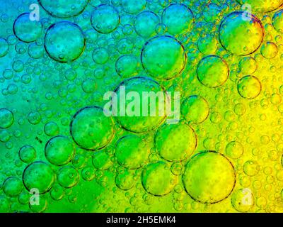 Des bulles d'huile dans l'eau Banque D'Images