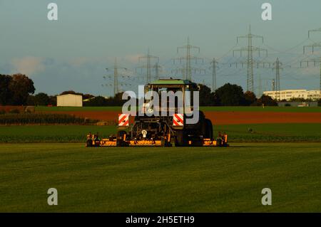 FRANCFORT, ALLEMAGNE - 16 octobre 2021 : un agriculteur tend son champ de gazon.La culture de l'herbe est rare à Hesse et peut-être une niche intéressante pour l'agriculture Banque D'Images