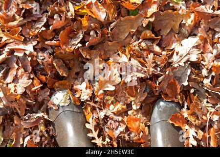 Feuilles d'automne sur le sol montrant des bottes de travail indiquant le défrichement des feuilles Banque D'Images