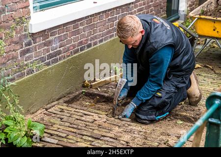 La société hollandaise de pavage repaver le chemin d'une arrière-cour avec des briques à Zutphen, pays-Bas Banque D'Images