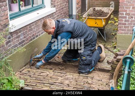 La société hollandaise de pavage repaver le chemin d'une arrière-cour avec des briques à Zutphen, pays-Bas Banque D'Images