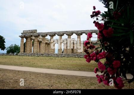 Tempio di Hera-Paestum, une ancienne ville de la Magna Graecia appelée par les Grecs Poséidonia en l'honneur de Poséidon, mais très consacrée à Athena et Hera. Banque D'Images