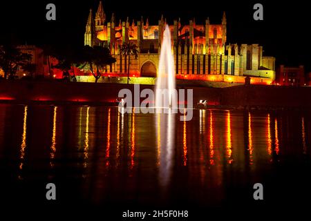 Cathédrale et fontaine illuminent la nuit.Cathédrale de Majorque architecture gothique .Cathédrale de Palma Espagne dans la nuit Banque D'Images