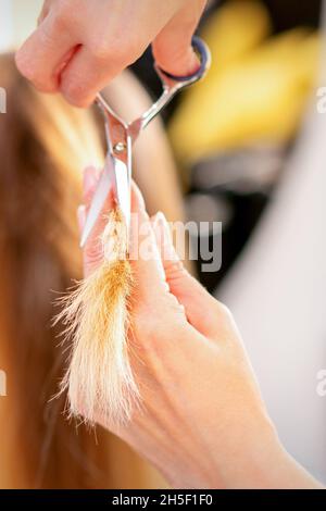 Le coiffeur coupe les extrémités des cheveux femelles avec des ciseaux.Concept des services de salon de beauté.Coupe les pointes de cheveux Banque D'Images