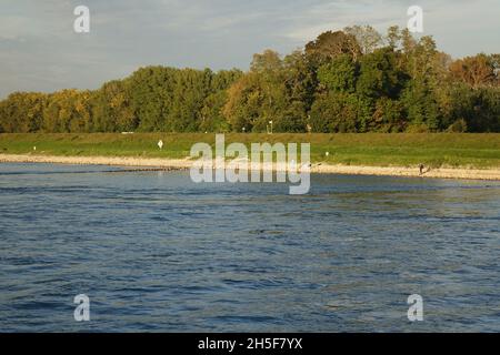 Rive orientale du Rhin vue de la rivière par un jour d'automne froid et ensoleillé, Maxau, Karlsruhe, Bade-Wurtemberg, Allemagne Banque D'Images