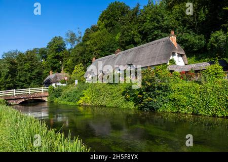 Angleterre, Hampshire, Test Valley, Wherwell, maison de campagne traditionnelle de chaume et River Test Banque D'Images