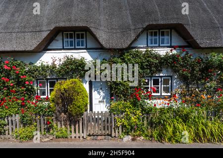 Angleterre, Hampshire, Test Valley, Wherwell, maison de campagne traditionnelle de chaume Banque D'Images