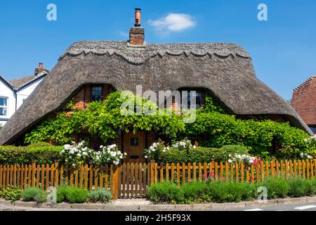 Angleterre, Hampshire, Test Valley, King's Somborne, toit de chaume traditionnel Banque D'Images