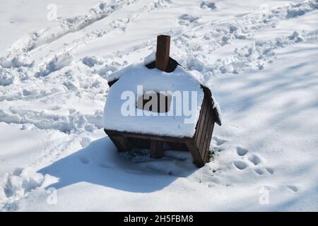 Cabane à oiseaux cassée tombée sur le sol dans la neige fraîche, le jour ensoleillé d'hiver.Gros plan. Banque D'Images