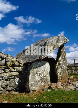 Voir ne de Gwern Einion Portail néolithique dolmen, Gwynedd, pays de Galles, Royaume-Uni, incorporé dans les murs en pierre sèche d'un pli de feuille.Le cairn a été supprimé. Banque D'Images