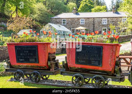 Anciens camions miniers et maisons de mineurs dans l'ancien village minier d'Allenheads, dans les Pennines, au nord de Weardale, Northumberland, Royaume-Uni Banque D'Images