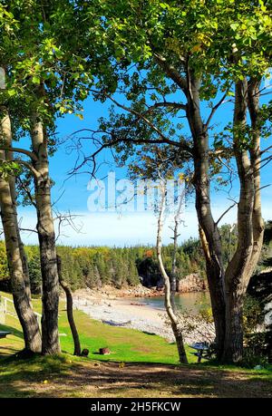 Photo verticale de Black Brook Cove Beach le long de Cabot Trail.Cap-Breton, Nouvelle-Écosse, Canada. Banque D'Images