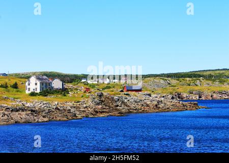 Maisons le long de la côte sauvage d'un petit village de pêcheurs, Elliston, Terre-Neuve. Banque D'Images