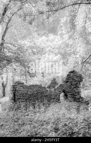 Effet infrarouge noir et blanc de vieux bâtiments en ruines perdus dans les bois de Norfolk. Banque D'Images
