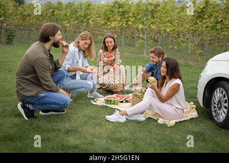 Amis pique-nique près des vignobles Banque D'Images